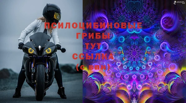 мдпв Беломорск