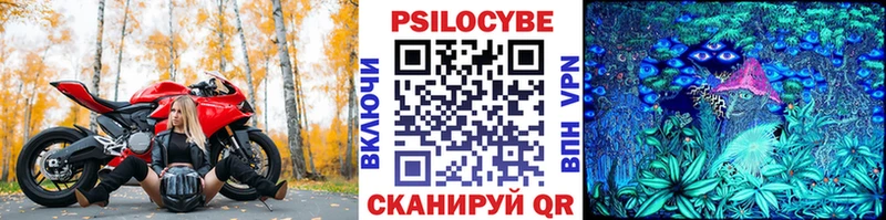 блэк спрут ТОР  Нерчинск  Псилоцибиновые грибы ЛСД  купить наркоту 