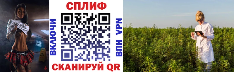 Конопля OG Kush Нерчинск